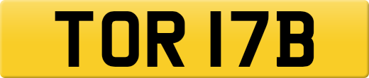 TOR17B