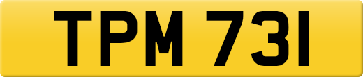 TPM731