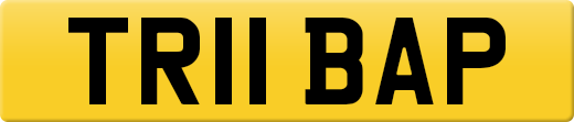 TR11BAP