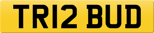 TR12BUD