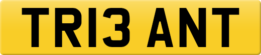 TR13ANT
