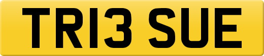 TR13SUE