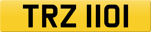 TRZ1101