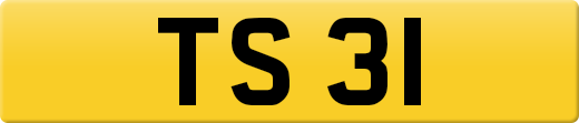 TS31