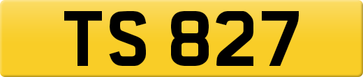 TS827