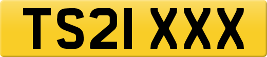 TS21XXX