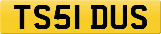 TS51DUS