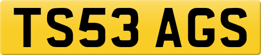 TS53AGS