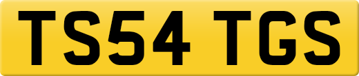 TS54TGS