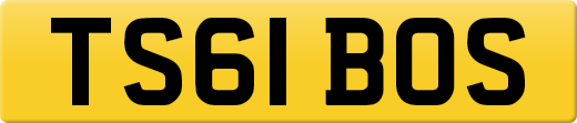 TS61BOS