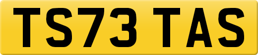 TS73TAS