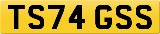 TS74GSS