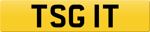 TSG1T