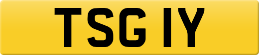 TSG1Y