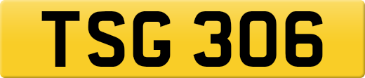 TSG306