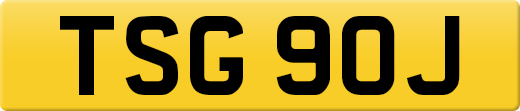 TSG90J