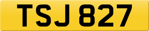 TSJ827