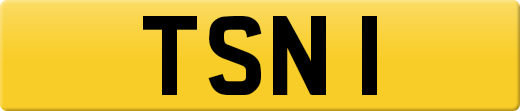 TSN1