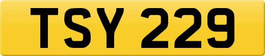 TSY229
