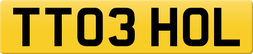 TT03HOL
