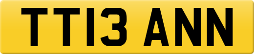 TT13ANN