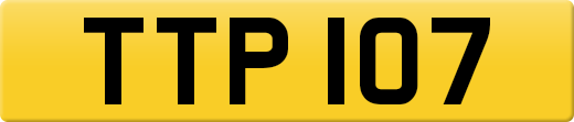 TTP107
