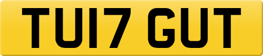 TU17GUT