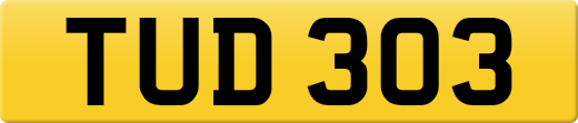 TUD303
