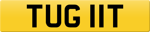 TUG11T