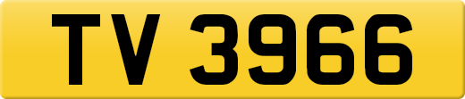 TV3966
