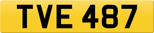 TVE487