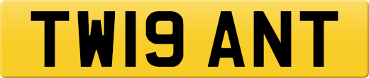 TW19ANT