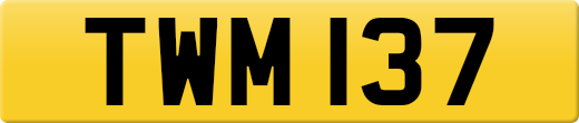 TWM137