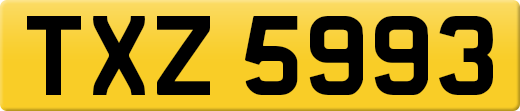 TXZ5993
