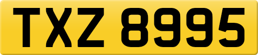 TXZ8995