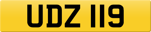 UDZ119