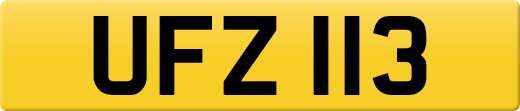 UFZ113