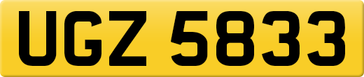 UGZ5833