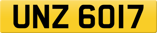 UNZ6017
