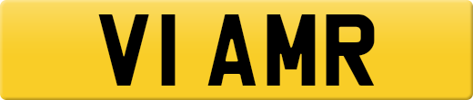 V1AMR