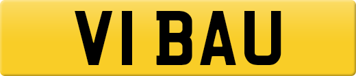 V1BAU