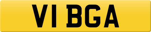 V1BGA