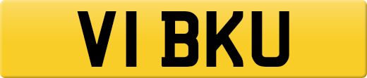 V1BKU