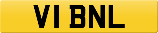 V1BNL