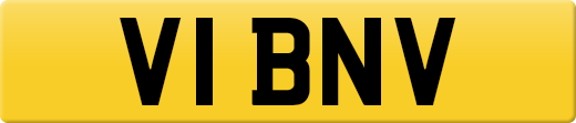 V1BNV