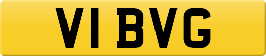 V1BVG