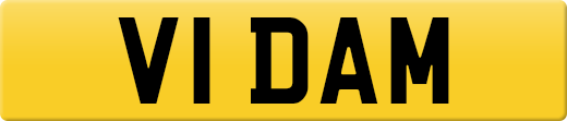 V1DAM