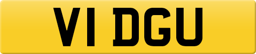 V1DGU