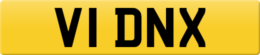 V1DNX