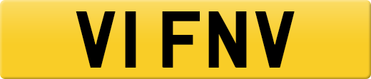 V1FNV